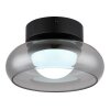 Carlene Plafonnier Luminaires Globo Lighting LED Noir, 1 lumière