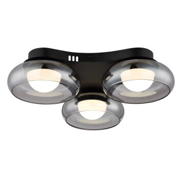 Carlene Plafonnier Luminaires Globo Lighting LED Noir, 1 lumière