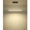 Novak Suspension Luminaires Globo Lighting LED Nickel mat, 1 lumière