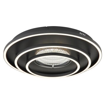 Lawanda Plafonnier Luminaires Globo Lighting LED Noir, 1 lumière
