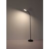Kalderon Lampadaire Luminaires Globo Lighting LED Noir, 1 lumière