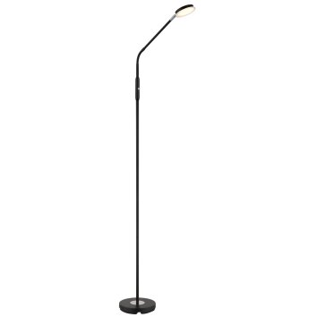 Silvio Lampadaire Luminaires Globo Lighting LED Noir, 1 lumière