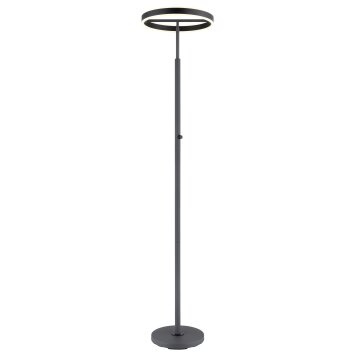 Emanuel Plafonnier Luminaires Globo Lighting LED Anthracite, Noir, 1 lumière