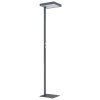Barker Lampadaire Luminaires Globo Lighting LED Anthracite, 1 lumière