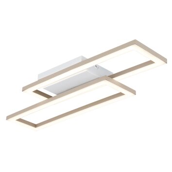Wilton Plafonnier Luminaires Globo Lighting LED Blanc, 1 lumière
