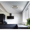 Norberto Plafonnier Luminaires Globo Lighting LED Noir, Argenté, 1 lumière