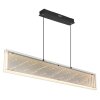 Mirrora Suspension Luminaires Globo Lighting LED Noir, 1 lumière, Télécommandes