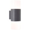 Applique murale d'extérieur AEG Farlay LED Anthracite, 2 lumières