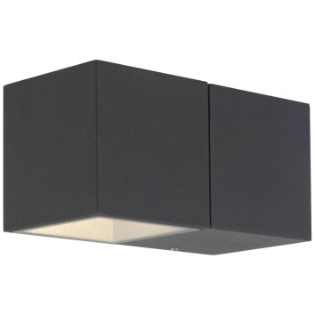 Applique murale d'extérieur AEG Daveen LED Anthracite, 1 lumière
