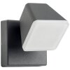 Applique murale d'extérieur AEG Isacco LED Anthracite, 1 lumière