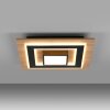 TOLA Plafonnier Luminaires Leuchten Direkt LED Brun, Noir, 2 lumières