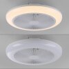 mit Ventilateur de plafond lumineux Luminaires Leuchten Direkt LED Blanc, 1 lumière, Télécommandes