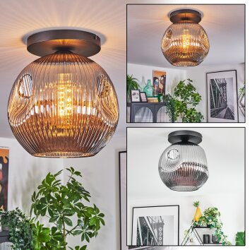 Ripoll Plafonnier, Boule lumineuse Fumé, 1 lumière