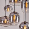 Apedo Suspension, Suspension Clair, Fumé, 6 lumières