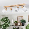 Fallhagen Plafonnier, Spot de plafond Chrome, Bois clair, 4 lumières