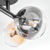 Chehalis Plafonnier, Boule lumineuse Ambre, Clair, Fumé, 4 lumières