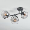 Ripoll Plafonnier, Boule lumineuse Clair, Fumé, 3 lumières