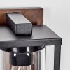 Portalis Lampe murale d´extérieur, Applique murale Couleur bois, Noir, 1 lumière