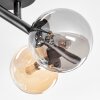 Chehalis Plafonnier, Boule lumineuse Ambre, Fumé, 4 lumières