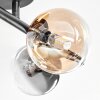 Chehalis Plafonnier, Boule lumineuse Ambre, Clair, Fumé, 4 lumières
