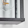 Tourega Lampe murale d´extérieur, Applique murale Noir, 1 lumière