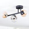 Chehalis Plafonnier, Boule lumineuse Ambre, Clair, Fumé, 3 lumières