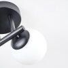 Chehalis Plafonnier, Boule lumineuse Blanc, 3 lumières