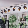 Fallhagen Plafonnier, Spot de plafond Noir, 6 lumières