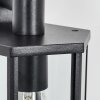 Monfanim Lampe murale d´extérieur, Applique murale Noir, 1 lumière