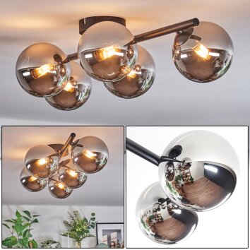 Chehalis Plafonnier, Boule lumineuse Chrome, Fumé, 5 lumières