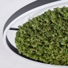 Dorel Plafonnier LED Vert, Blanc, 1 lumière