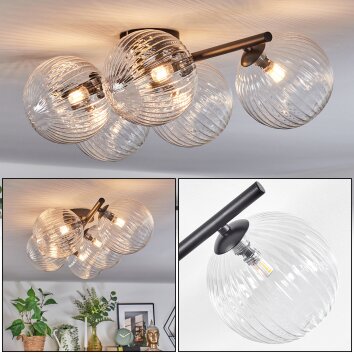 Chehalis Plafonnier, Boule lumineuse Clair, 5 lumières