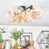 Chehalis Plafonnier, Boule lumineuse Ambre, Clair, 5 lumières
