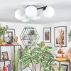 Chehalis Plafonnier, Boule lumineuse Blanc, 5 lumières