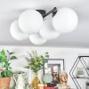 Chehalis Plafonnier, Boule lumineuse Blanc, 5 lumières