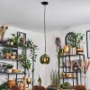 Koyoto Suspension, Boule lumineuse, Suspension Vert, 1 lumière