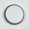 Duril Lampe murale d´extérieur, Applique murale LED Anthracite, 1 lumière