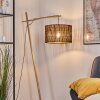 Cando Lampadaire Écru, Blanc, 1 lumière