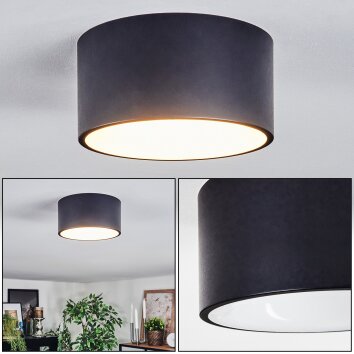 Falor Plafonnier LED blanc mat, 1 lumière