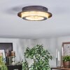 Lidor Plafonnier LED Gris, Noir, 1 lumière