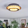 Lidor Plafonnier LED Or, Noir, 1 lumière