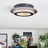 Lidor Plafonnier LED Or, Noir, 1 lumière