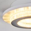 Lidor Plafonnier LED Gris, Blanc, 1 lumière