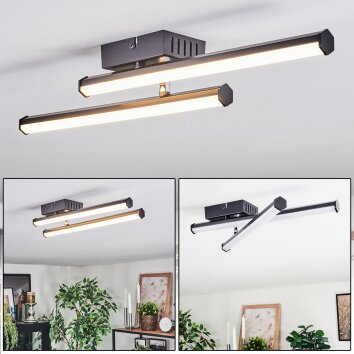 Fenol Plafonnier LED Noir, 1 lumière