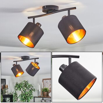 Alsen Plafonnier, Spot de plafond Noir, 2 lumières