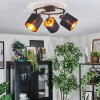 Alsen Plafonnier, Spot de plafond Noir, 3 lumières
