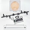 Basto Suspension, Boule lumineuse, Suspension Écru, 8 lumières