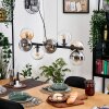Gastor Suspension, Boule lumineuse, Suspension Ambre, Clair, Fumé, 8 lumières