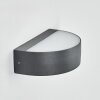 Duron Lampe murale d´extérieur, Luminaire Up & Down, Applique murale LED Anthracite, 1 lumière
