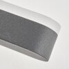 Fanek Lampe murale d´extérieur, Luminaire Up & Down, Applique murale LED Anthracite, 2 lumières